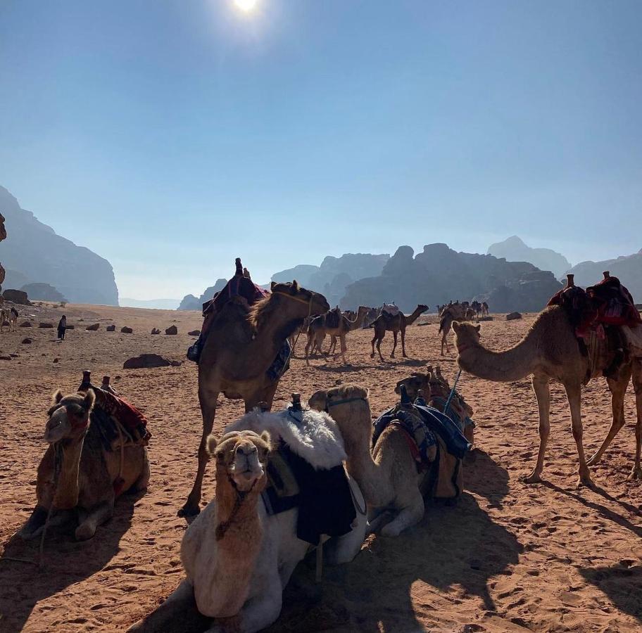 Wadi Rum Desert Camp Extérieur photo