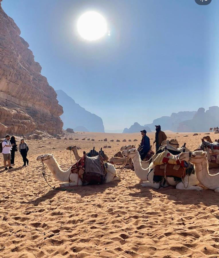 Wadi Rum Desert Camp Extérieur photo