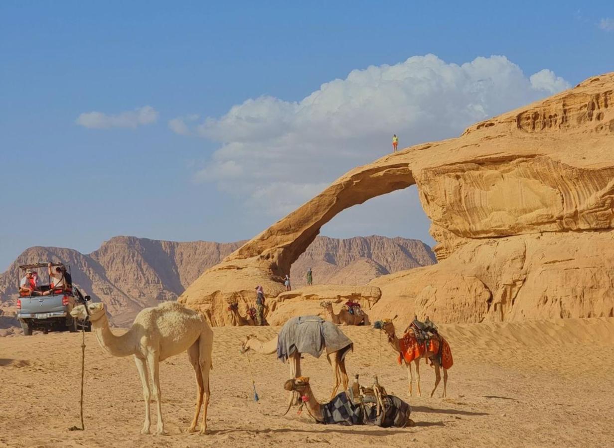 Wadi Rum Desert Camp Extérieur photo