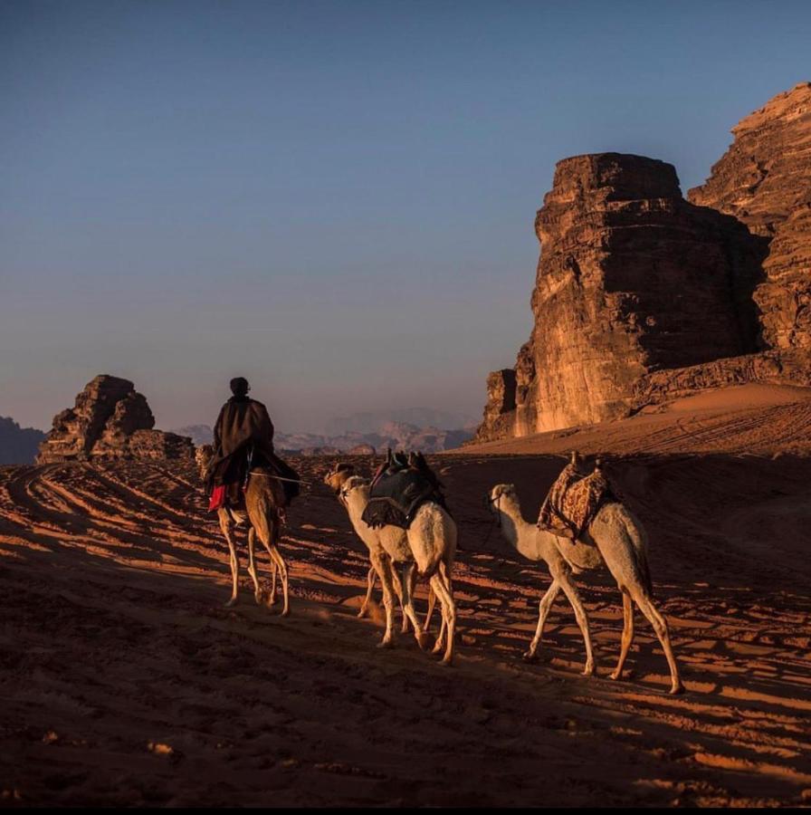 Wadi Rum Desert Camp Extérieur photo